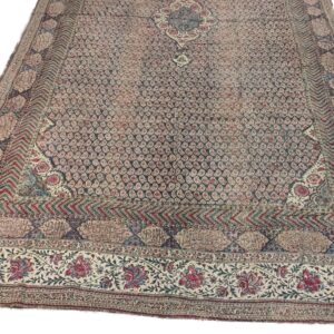 photo 2025 09 16 16 39 49